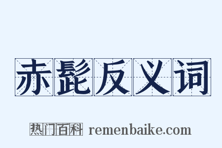 赤髭反义词是什么意思的图片